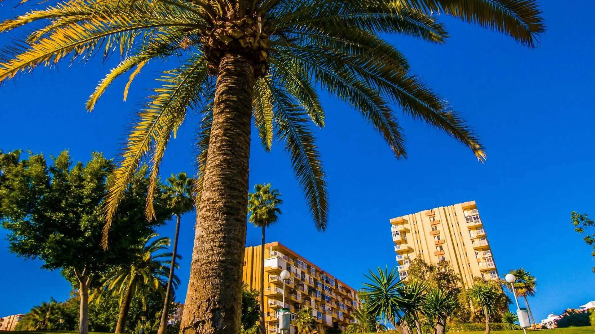 717 Jupiter Apartamento - Vista Al Mar- Piscina Y Playa- Excelente Ubicacion Benalmadena 0*,  Spain